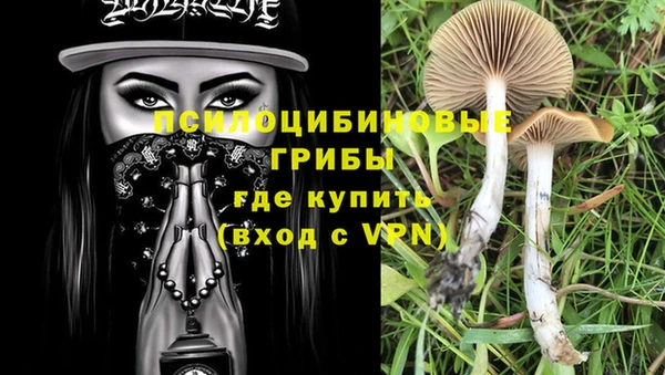 a pvp Алзамай