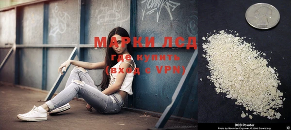 a pvp Алзамай