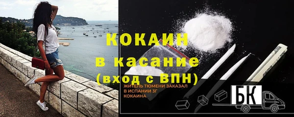 a pvp Алзамай