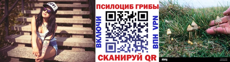 Галлюциногенные грибы мицелий  Лагань 